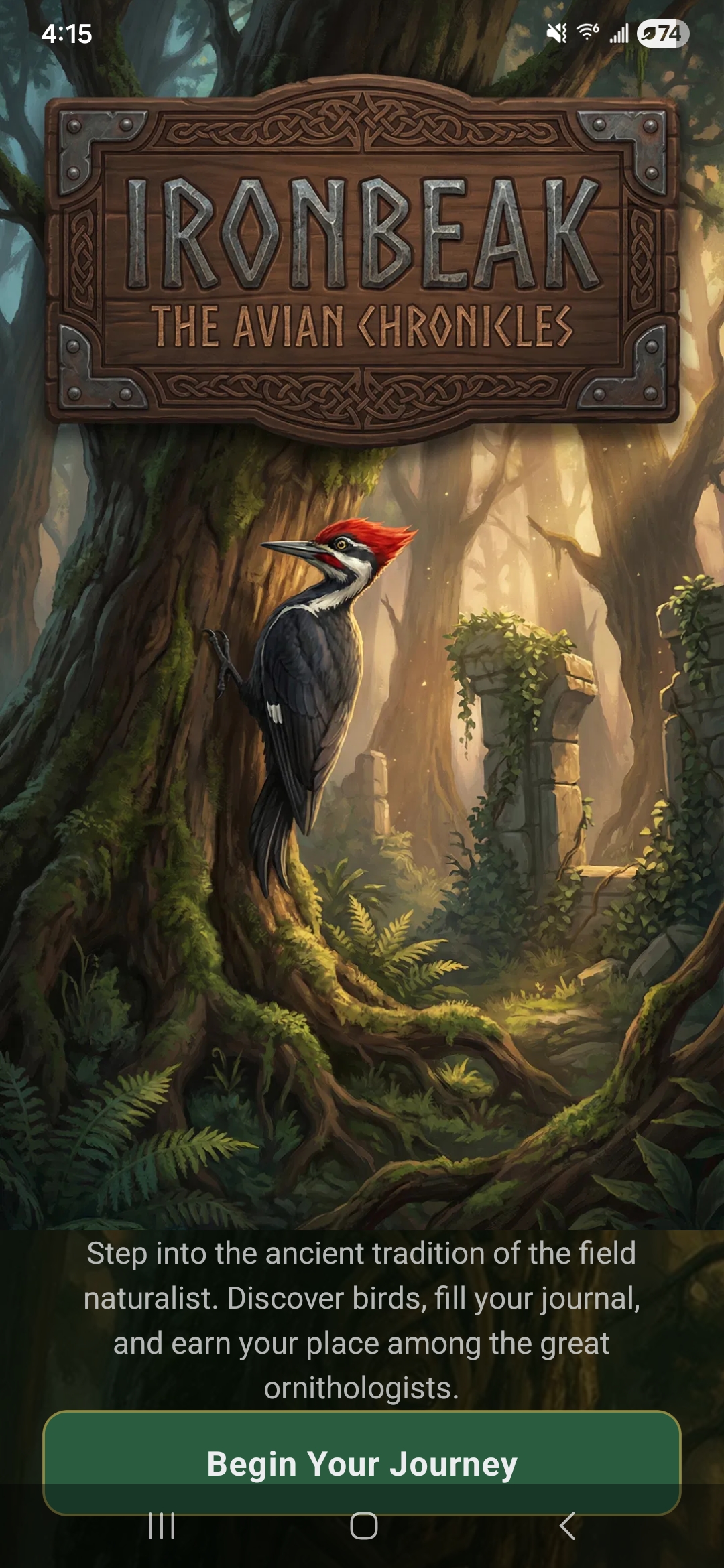 IronBeak splash screen