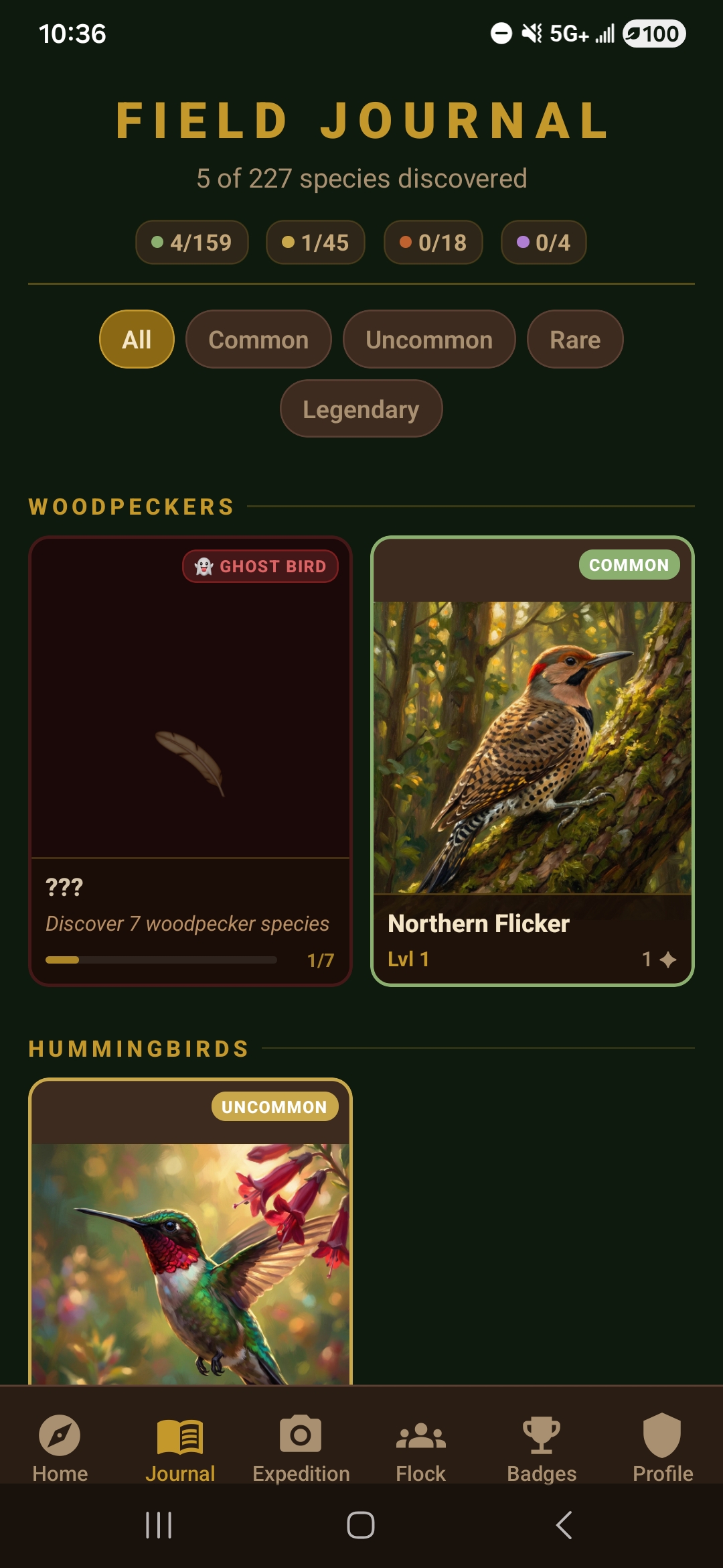 IronBeak field journal