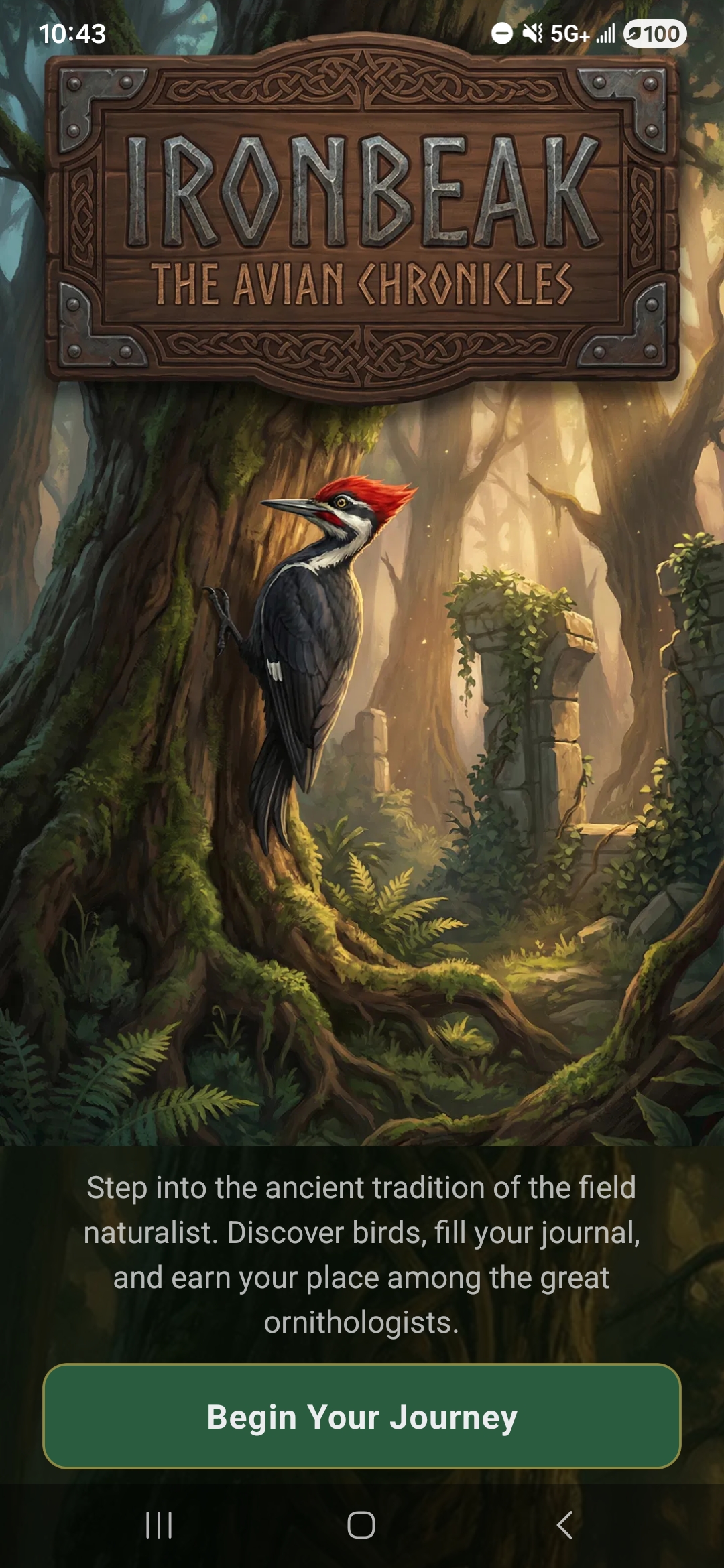 IronBeak splash screen