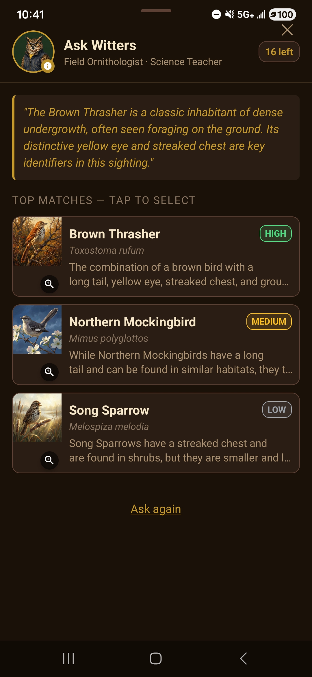 Ask Witters AI bird identification